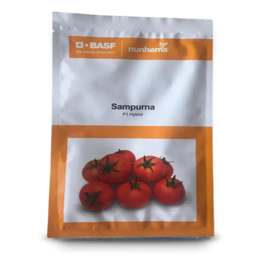 Nunhems Sampurna Tomato Seeds- High Yield & Tolcv Resistant 1