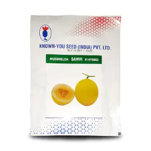 Sanvi Muskmelon 1