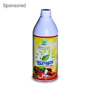 Sap Plus Bio Insecticide 1