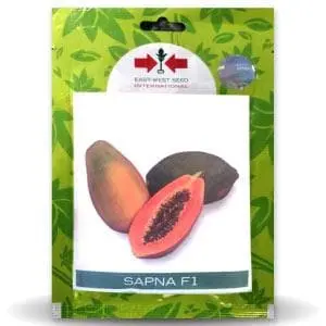 Sapna F1 Papaya Seeds By East West | Hybrid & High Yield Variety 1