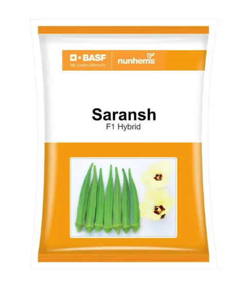Saransh Bhindi Seeds 1