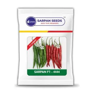 Sarpan F1-4444 (Seeds) 1