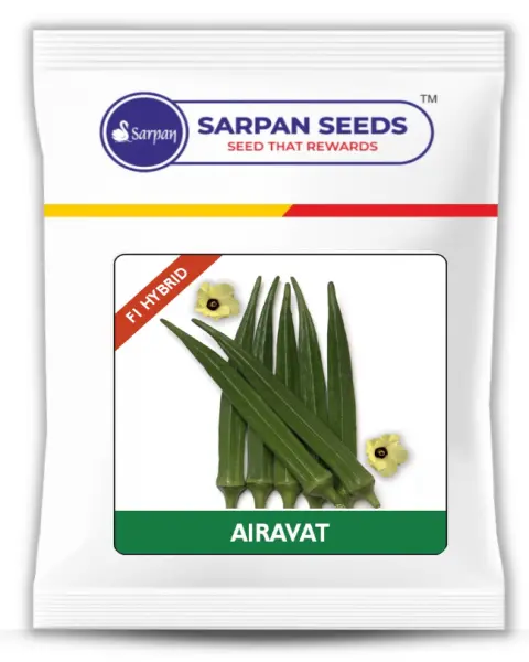 Sarpan Airavat (F1 Hybrid) Bhendi Seeds 1