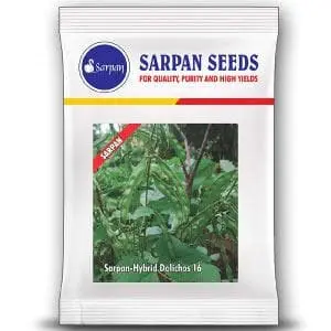 Sarpan-16 Dolichos Seeds 1