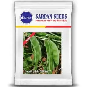 Sarpan All Season Vegetable Dolichos -27 Bush 1