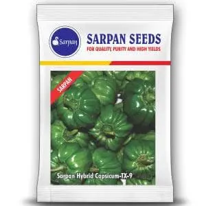 Sarpan Capsicum Hybrid Tx-9 (Seeds) 1