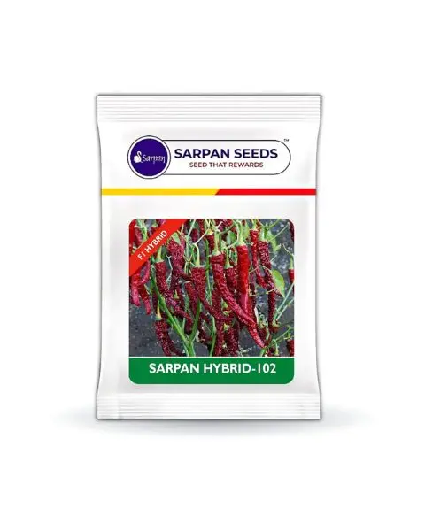 Sarpan - 102 Byadgi Chilli 1