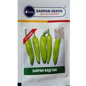 Sarpan Chilli Bajji Kai Seeds - Medium Hot, Glossy, High Yield 1