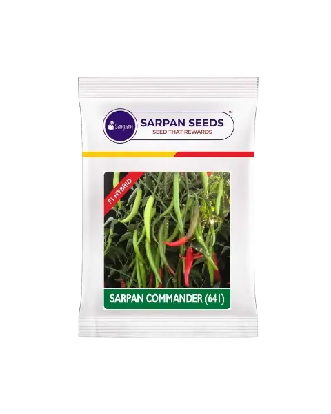 Sarpan Commander(641) Chilli Seeds 1