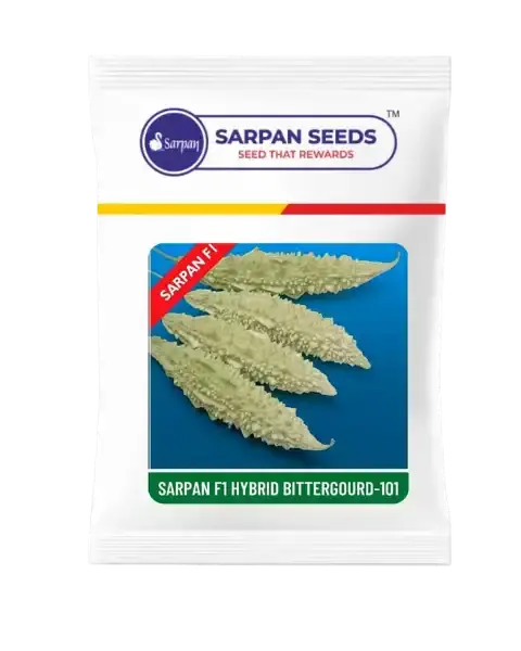 Sarpan F1 Bittergourd-101 (Seeds) 1