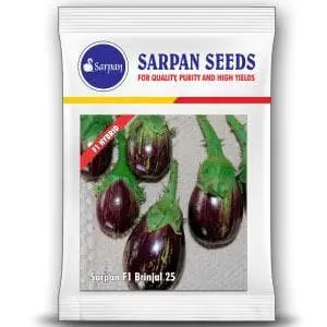Sarpan 25 F1 Hybrid Brinjal Seeds 1