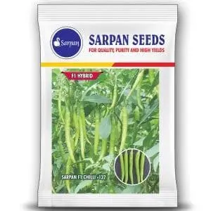 Sarpan F1 Chilli- 132 Seeds - Compact, Hot, Firm Fruit & High Yield 1