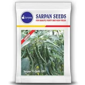 Sarpan Chilli Seeds F1 291 1