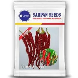 Sarpan Hybrid F1 Chilli Deepa (Seeds) 1