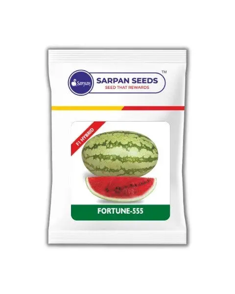 Sarpan Fortune-555 Watermelon 1