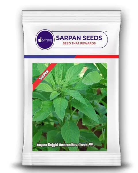 Sarpan Green - Amaranthus (Multicut Variety) 1