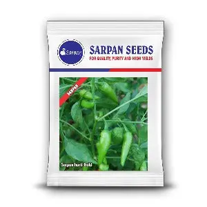 Sarpan Harti Gold - Green Chilli (Seeds) 1