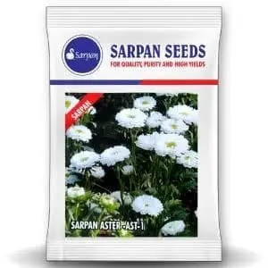 Sarpan Hybrid Aster - Ast-1 (Seeds) 1