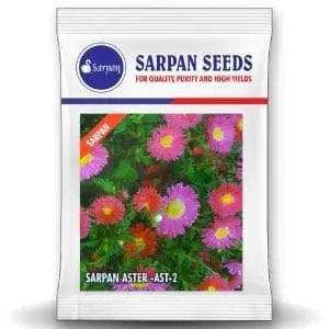 Sarpan Hybrid Aster - Ast-2 (Seeds) 1