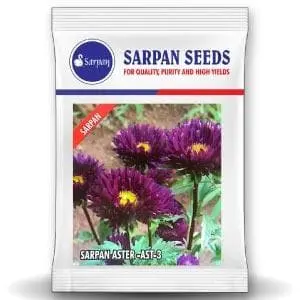 Sarpan Hybrid Aster - Ast-3 (Seeds) 1