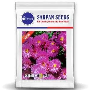 Sarpan Hybrid Aster - Ast-4 (Seeds) 1