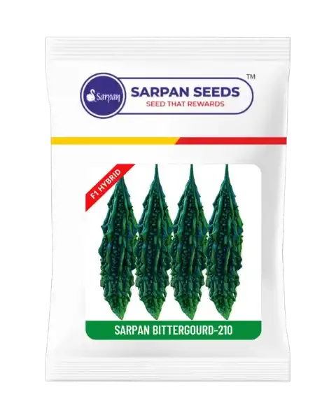 Sarpan Hybrid Bitter Gourd-210 (Seeds) 1