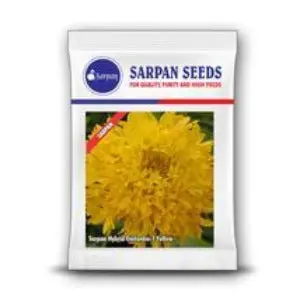 Sarpan Hybrid Gailardia Yellow Seeds - Lemon Yellow Bloom, 50-60 Cm Tall 1