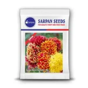 Sarpan Hybrid Gailardia - 2 Mix 1