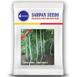 Sarpan Hybrid Snake Gourd-21 (Seeds) 1