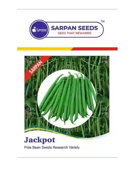 Sarpan Jackpot Polebeans 1