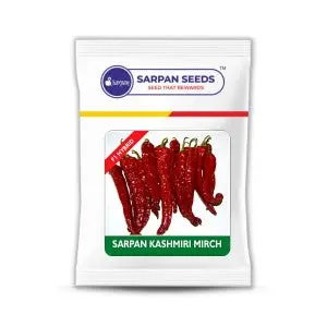 Sarpan Kashmiri Mirch Seeds - Long, Slender, 16-18Cm, Dual-Purpose 1