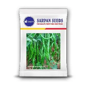 Sarpan Mahalaxmi Dual Chilli Seeds - Glossy, Hot, Red & Green Fruit 1