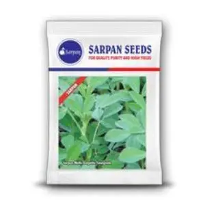 Sarpan Methi Golpatta Fenugreek 1