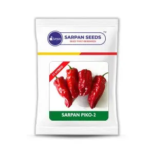 Sarpan Piko-2 Seeds 1