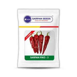 Sarpan Piko-3 Seeds 1