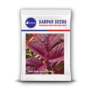 Sarpan Rajgiri Amaranthus Red 1