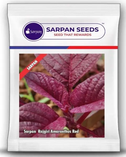 Sarpan Red Amaranthus Seeds – Dark Red, Broad Leaf Multicut Variety 1
