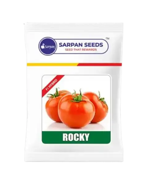 Sarpan Rocky Tomato (White Shoulder) 1