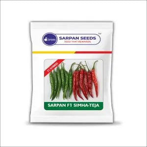 Sarpan Simha-Teja Chilli Seeds 1