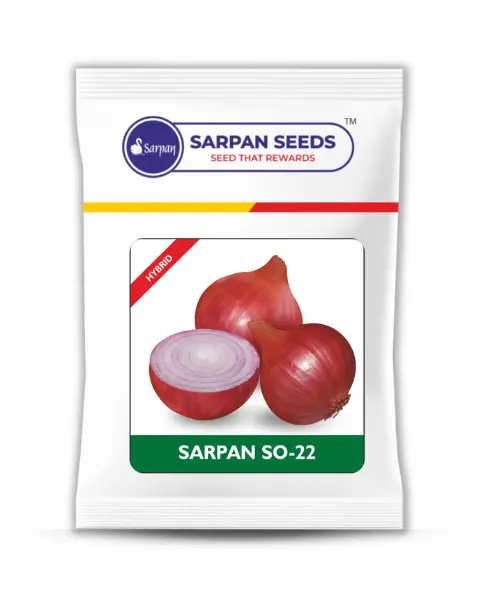 Sarpan So - 22 Onion Seeds 1
