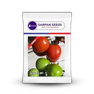 Sarpan Tomato 801 Hybrid Seeds – High Yield & Leaf Curl Resistant 1