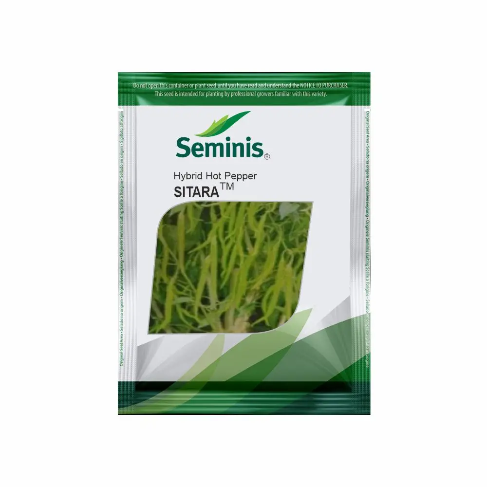 Seminis Sitara Chilli Seeds 1