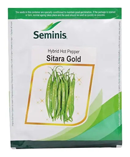 Seminis Sitara Gold Chilli Seeds – High Yield & Moderate Pungency 1