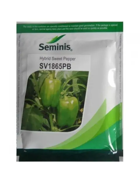 Seminis Sv1865pb Hybrid Green Capsicum Pepper | Seeds 1