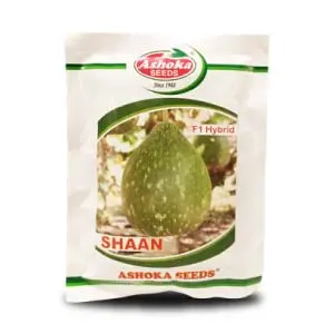 Shaan Bottlegourd ( शान लौकी ) 1