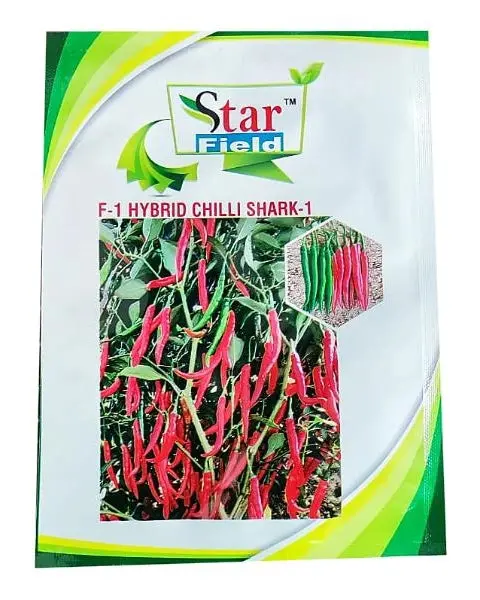 Shark-1 Hybrid Chilli 1