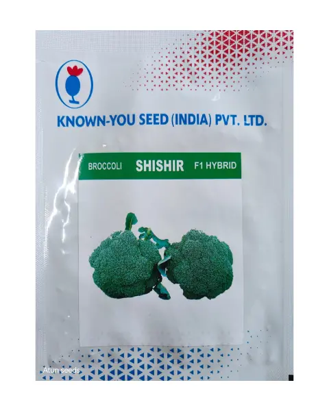 Shishir Broccoli 1