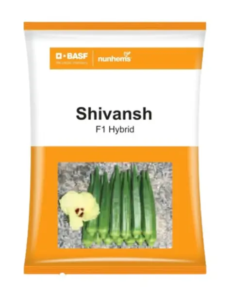Shivansh Okra Seeds 1