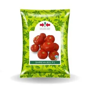 Shreya 831Tsc Tomato Seeds - High Yield, Disease Tolerant 1