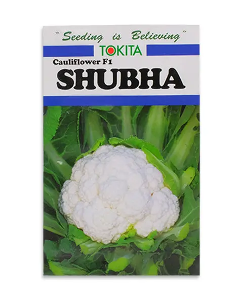 Shubha F1 Cauliflower Seeds 1